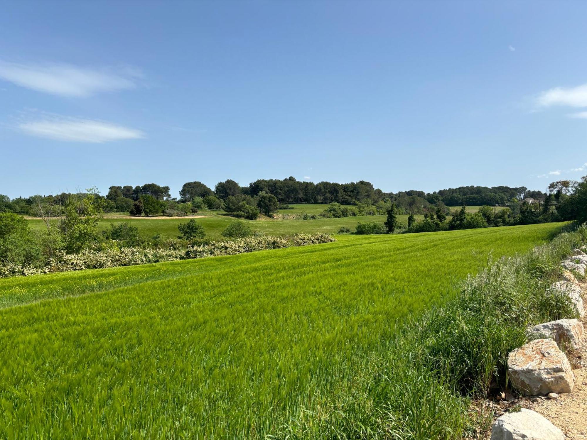 Havre De Paix Au Sein D'Un T3 D'Une Bastide Aixoise Aix-en-Provence Eksteriør billede