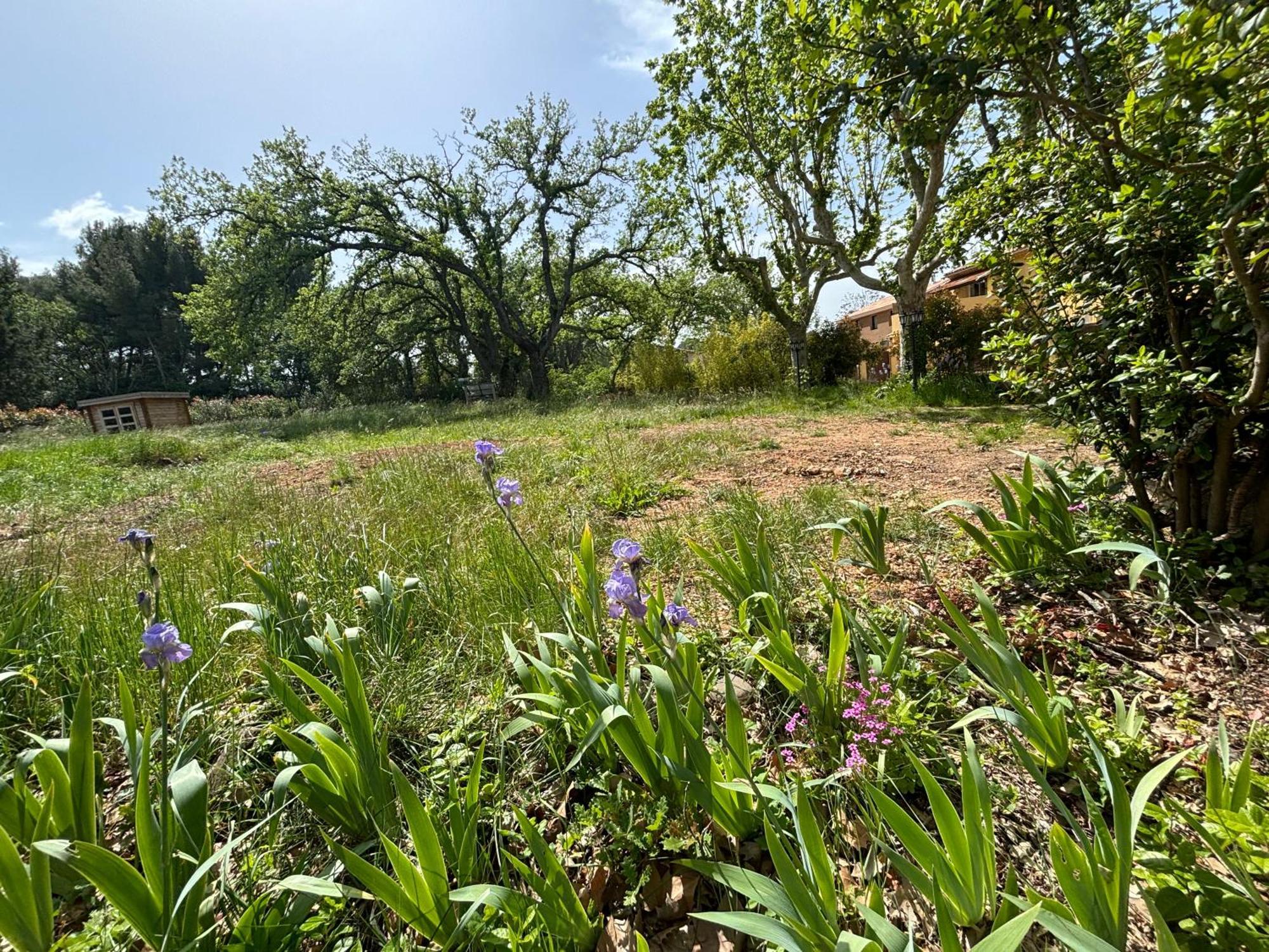 Havre De Paix Au Sein D'Un T3 D'Une Bastide Aixoise Aix-en-Provence Eksteriør billede